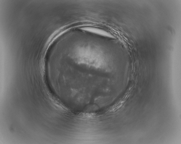 X0000115550247200911201807