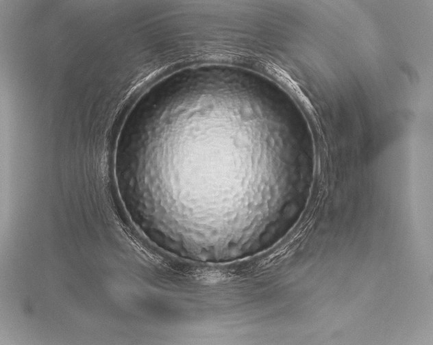 X0000115550249200911201807