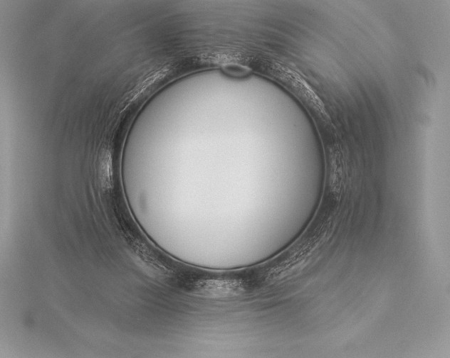 X0000115550251200911201807