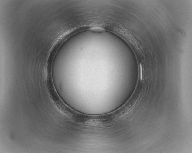 X0000115550252200911201807