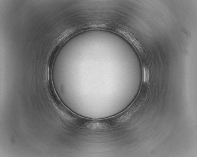 X0000115550253200911201807