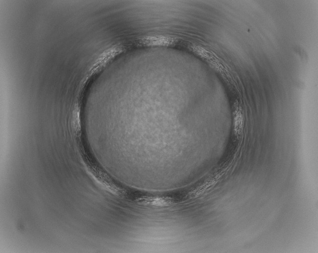 X0000115550254200911201807