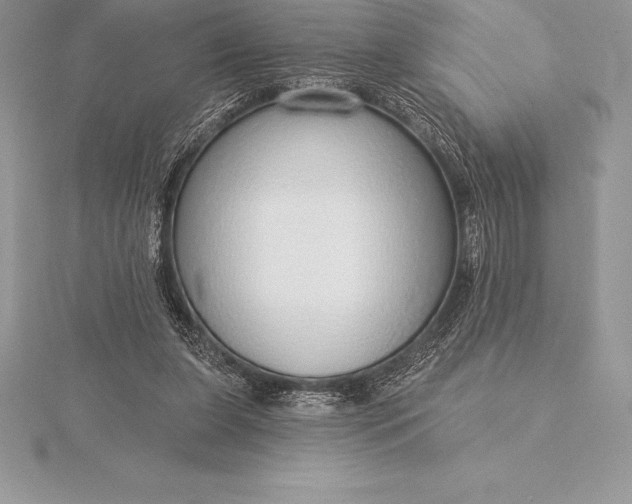 X0000115550255200911201807