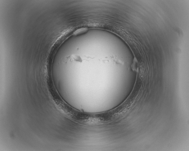 X0000115550256200911201807