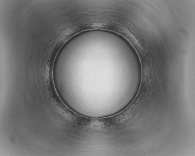 X0000115550257200911201807