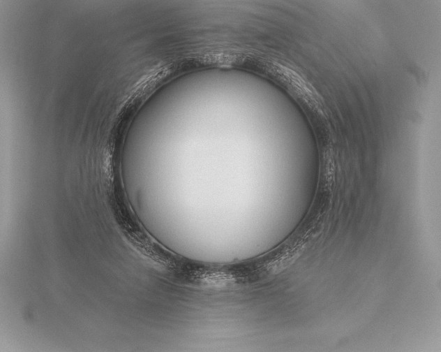 X0000115550258200911201807