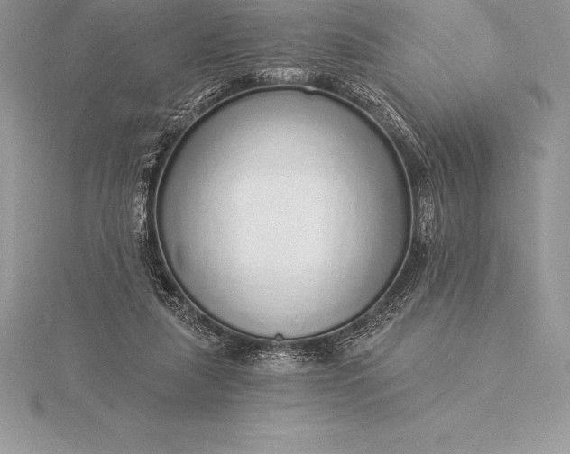 X0000115550259200911201807