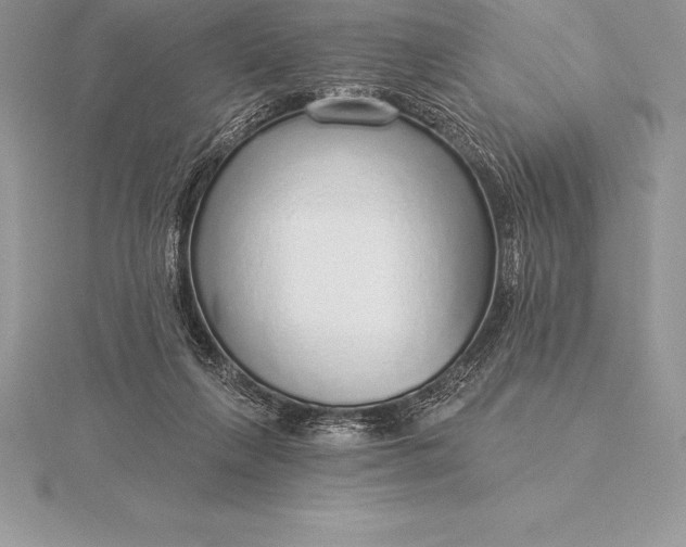 X0000115550263200911201807