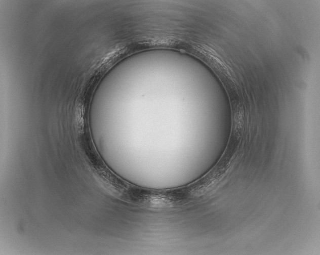 X0000115550264200911201807