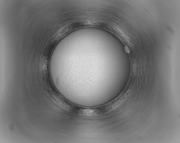 X0000115550265200911201807