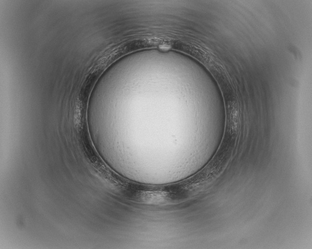 X0000115550266200911201807