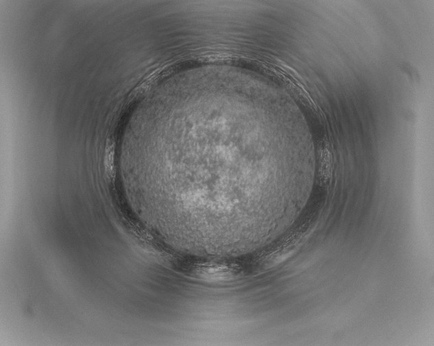 X0000115550267200911201807