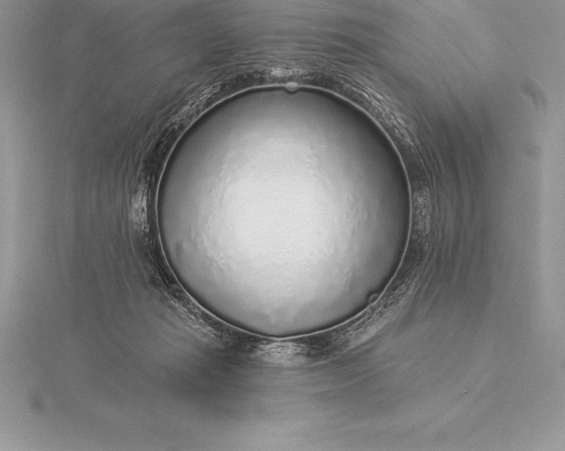 X0000115550269200911201807