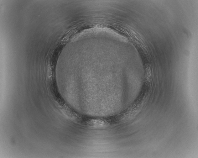 X0000115550272200911201807