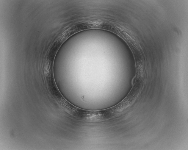 X0000115550274200911201807