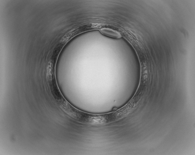 X0000115550275200911201807