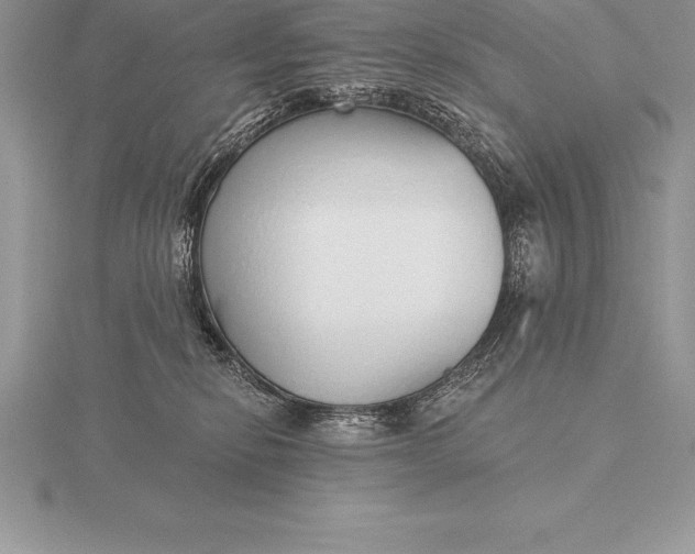 X0000115550278200911201807