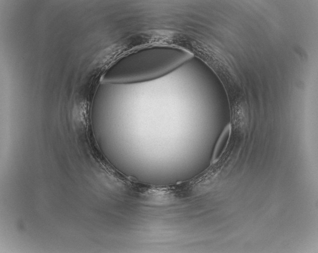 X0000115550280200911201807