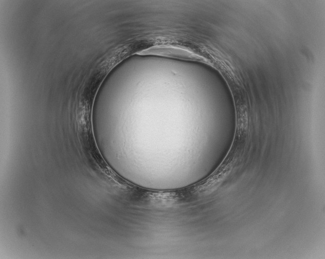 X0000115550281200911201807