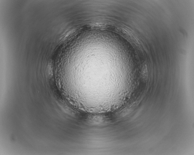 X0000115550282200911201807