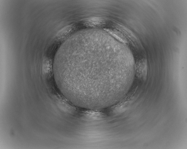 X0000115550284200911201807