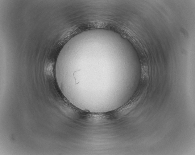 X0000115550286200911201807