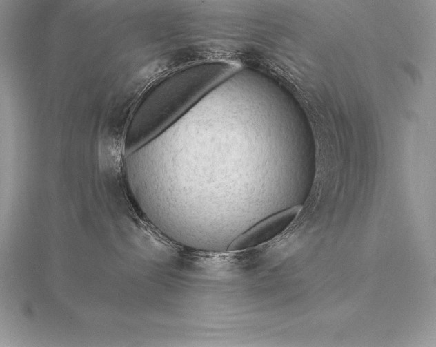 X0000115550288200911201807