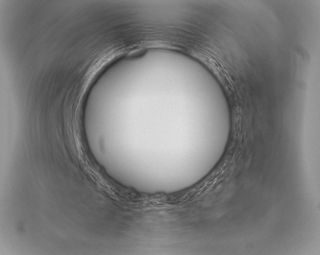 X0000115550289200911201806