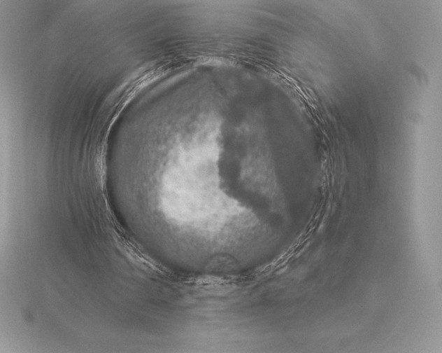 X0000115550290200911201806