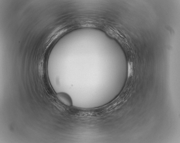 X0000115550291200911201806