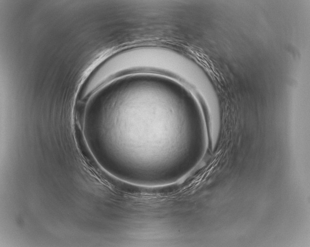 X0000115550292200911201806