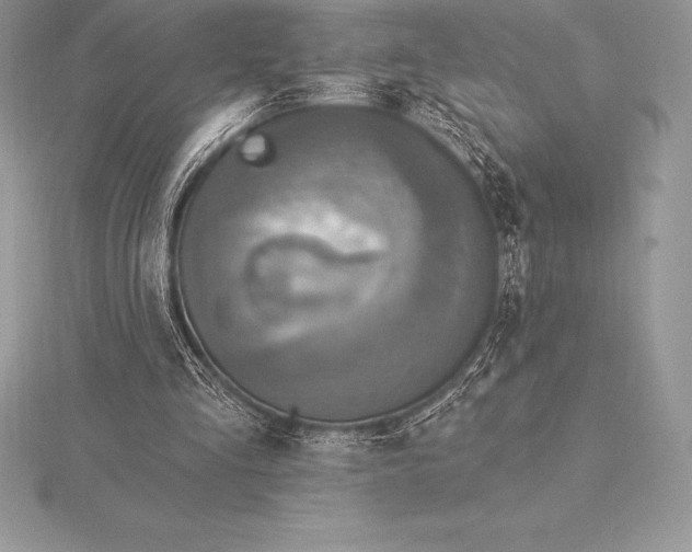 X0000115550293200911201806