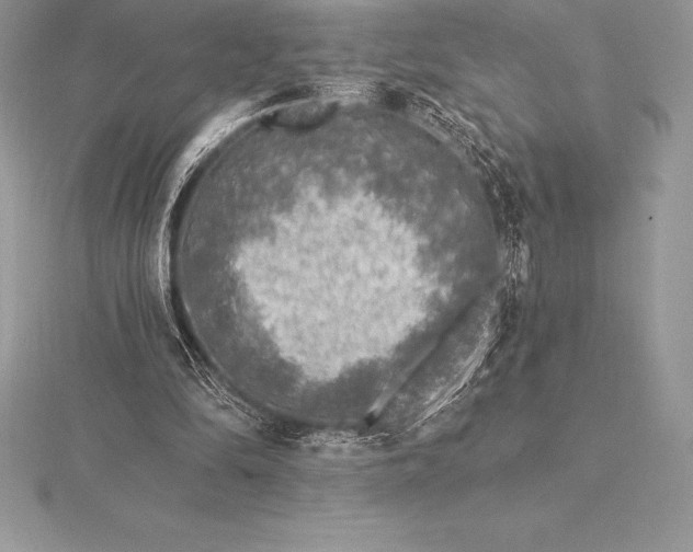 X0000115550294200911201806