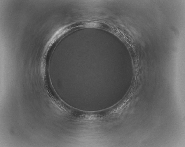 X0000115550295200911201806