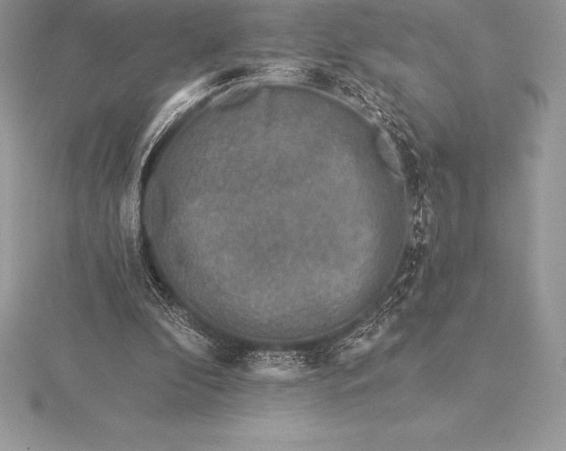 X0000115550296200911201806