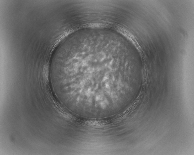 X0000115550297200911201806