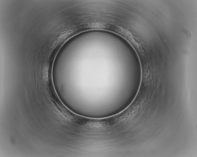 X0000115550299200911201806