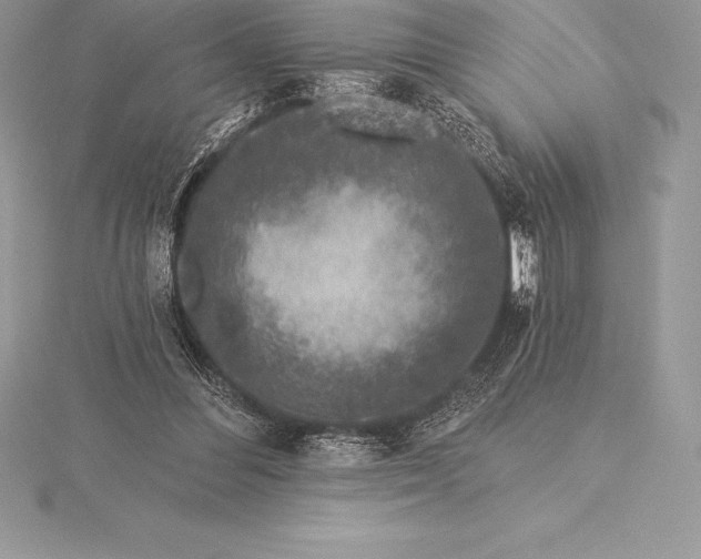 X0000115550300200911201806