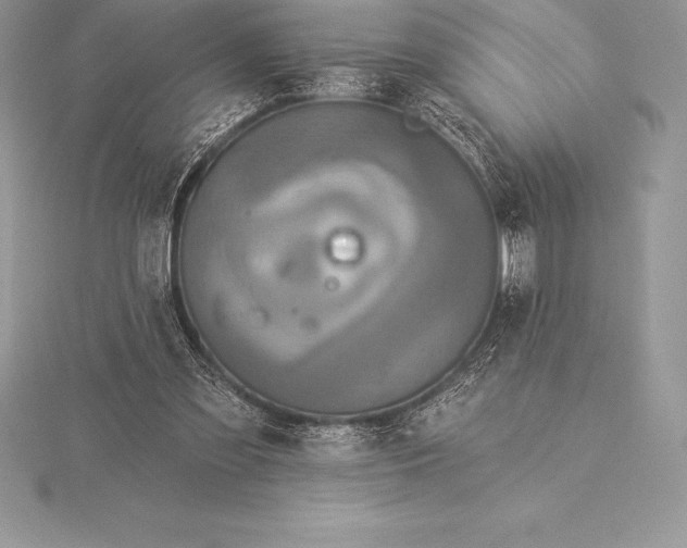 X0000115550301200911201806