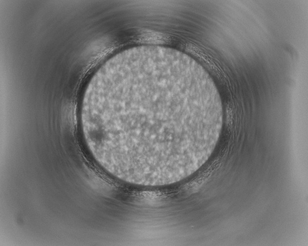 X0000115550302200911201806