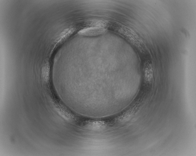 X0000115550304200911201806