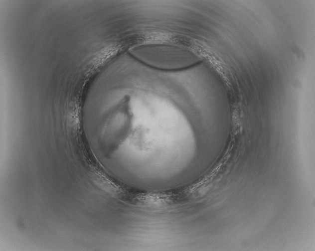 X0000115550305200911201806