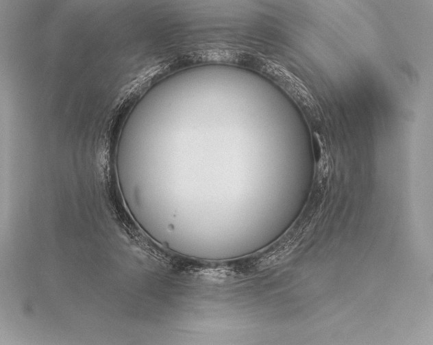 X0000115550306200911201806