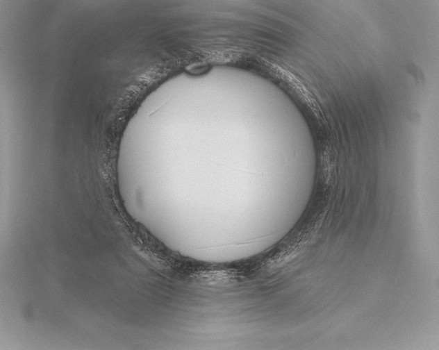 X0000115550307200911201806