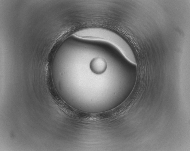 X0000115550308200911201806