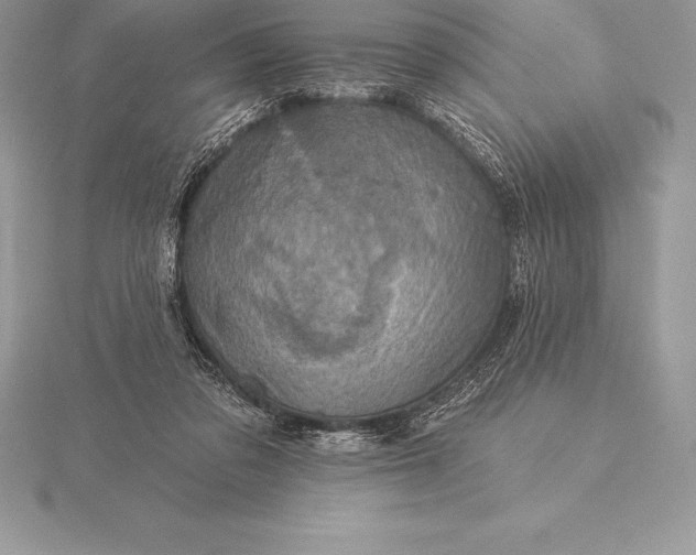 X0000115550309200911201806