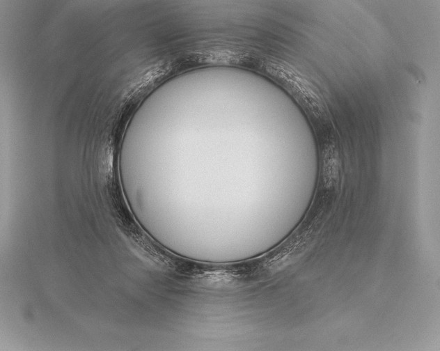 X0000115550310200911201806