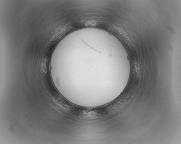 X0000115550311200911201806