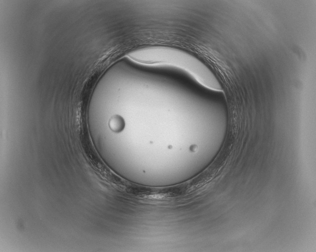 X0000115550312200911201806