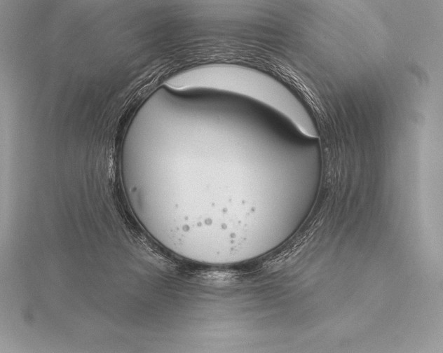 X0000115550313200911201806